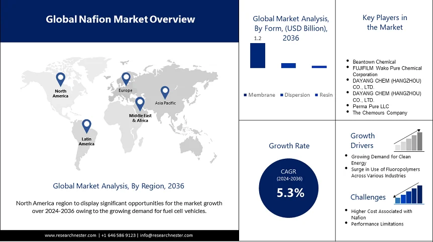 Nafion Market Overview